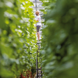 GreenCoop